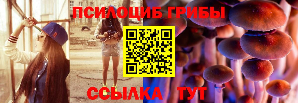 Сосновый Бор  Галлюциногенные грибы Magic Shrooms  Вход с VPN 